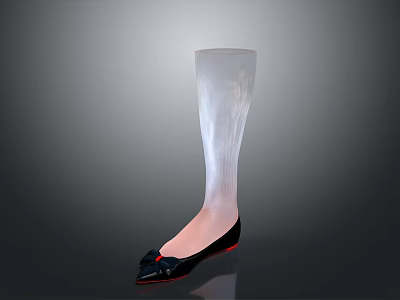 Transparent Knee High Stockings With Black Pointed Toe Flat Shoes And Red Decoration 3d model