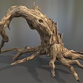Weathered Tree Root With Gnarled Branches And Natural Wood Texture