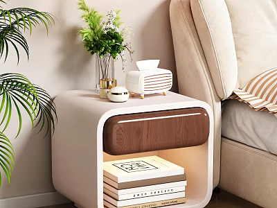 Cozy Bedroom Interior Design with Modern Nightstand Green Plants Books Vase Radio and Striped Blanket 3d model