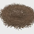 Natural Bird Nest Made Of Twigs Featuring Circular Shape And Textured Structure