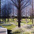Scenic Park Landscape With Neatly Arranged Trees Large Rocks Green Lawns And Paved Paths