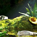 Half Sliced Avocado on Green Mossy Rock with Ferns Sunlight and Water