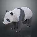 Realistic 3D Panda Model With Black And White Fur Standing Pose 3d model