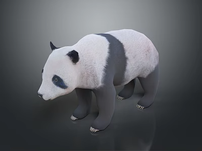 Realistic 3D Panda Model With Black And White Fur Standing Pose 3d model