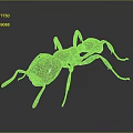 Metallic Ant Sculpture With Detailed Design On Dark Reflective Surface