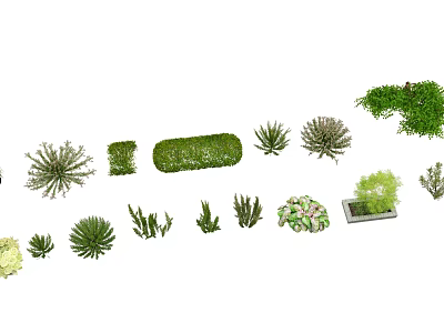 Diverse Plant Combinations With Various Green Shrubs And Potted Plants 3d model