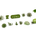 Diverse Plant Combinations With Various Green Shrubs And Potted Plants