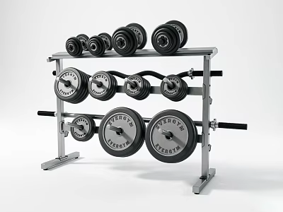Fitness Equipment Rack With Dumbbells And Weight Plates For Home Gym 3d model