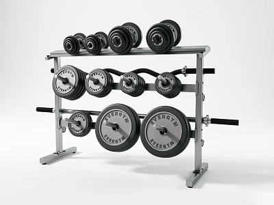 Fitness Equipment Rack With Dumbbells And Weight Plates For Home Gym 3d model