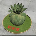 Guanyin Lotus Succulent Plant on Circular Green Mat with Golden Border on Stone Pavement