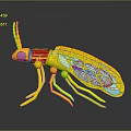 Golden Insect With Red Thorax Blue Eyes Transparent Colorful Wings And Reflection On Gray Background