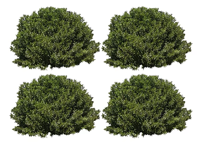 Four Green Lush Round Shrubs With Dense Foliage For Garden Landscaping 3d model