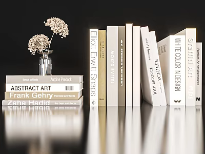 Stacked Art And Design Books With Dried Flower Vase And Surface Reflection 3d model