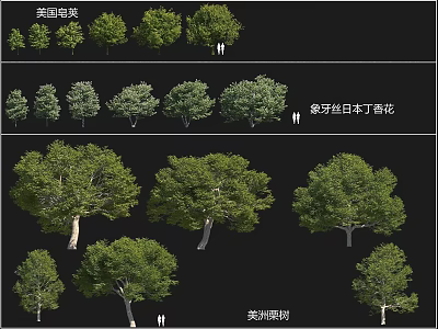 Collection of Various Arbor Species Including American Honeylocust and Ivory Red Japanese Lilac 3d model