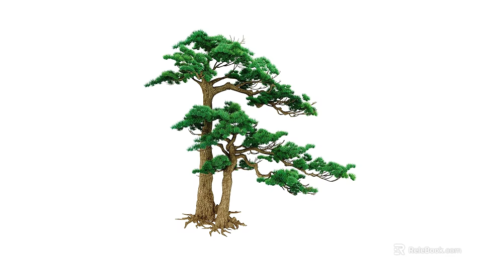 Lush Green Double Trunk Pine Tree With Dense Foliage And Exposed Roots 3d model 