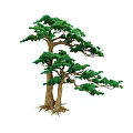 Lush Green Double Trunk Pine Tree With Dense Foliage And Exposed Roots 3d model