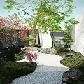 Courtyard Garden With Cherry Blossom Tree White Gravel Path Rocks And Lush Greenery