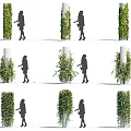 Various Decorative Vines in Different Climbing Forms on Pillars and Walls with Human Interaction 3d model