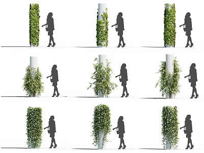 Various Decorative Vines in Different Climbing Forms on Pillars and Walls with Human Interaction 3d model