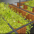 Modern Long Wooden Pendant Lights Illuminated With Hanging Lush Green Vines