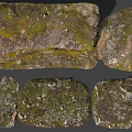Modern ground real ground scanning 3d model
