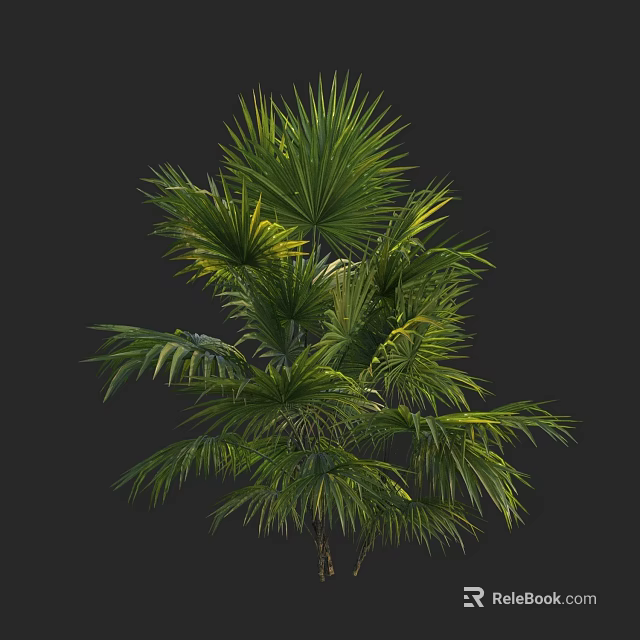 Lush Palm Tree Featuring Green Wide Fronds And Yellow Leaf Accents 3d model