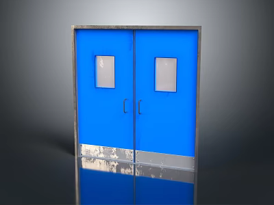 Blue Double Entry Door With Small Windows Metal Frame And Silver Kick Plate 3d model