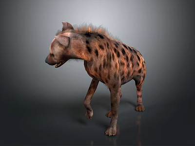 Realistic Hyena 3D Model as Game Movie Character With Detailed Fur Texture 3d model