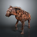 Realistic Hyena 3D Model as Game Movie Character With Detailed Fur Texture