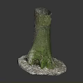 Tree Stump Covered With Green Moss And White Pebbles At The Base 3d model