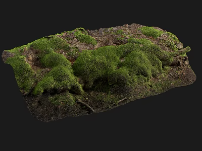 Natural Moss Covered Soil Surface With Lush Green Texture And Irregular Shape 3d model