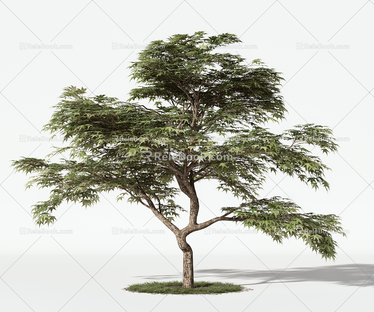 Trees Arbor 3d model