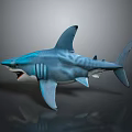 Blue Shark 3D Model with Open Mouth on Gray Reflective Background 3d model