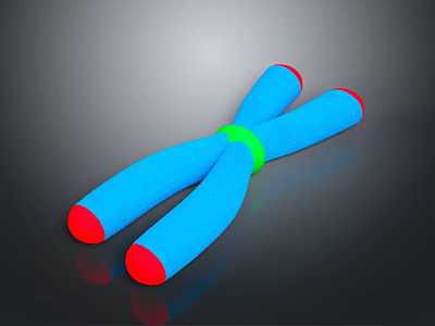 Blue Structure With Red Ends And Green Central Ring On Dark Surface 3d model