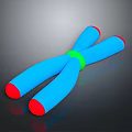 Blue Structure With Red Ends And Green Central Ring On Dark Surface
