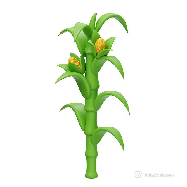 Healthy Corn Plant Growing With Green Leaves And Yellow Cobs In Agricultural Field 3d model 
