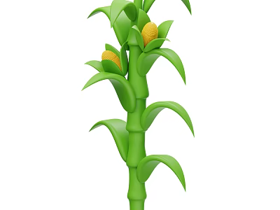 Healthy Corn Plant Growing With Green Leaves And Yellow Cobs In Agricultural Field 3d model