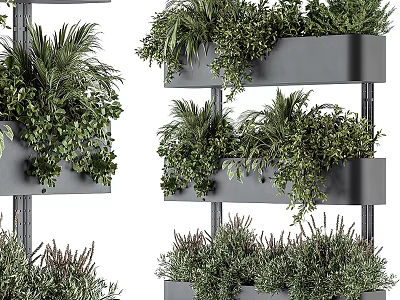 Lush Green Bonsai Potted Plants On Multi Tiered Modern Gray Shelf 3d model
