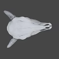 Detailed White Cow Skull With Curved Horns On Dark Background