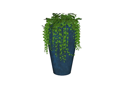 Bonsai Potted Plant Featuring Green Hanging Vines and Lush Foliage in Blue Ceramic Pot 3d model