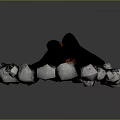 Green Plants Surrounding Burning Campfire With Gray Stones And Red Flames