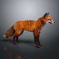 Realistic 3D Game Movie Character Red Fox With Orange Fur Standing Pose