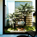 Indoor Garden Design With Ferns Palm Tree Orchids And Moss Ground Cover Against Lattice Wall