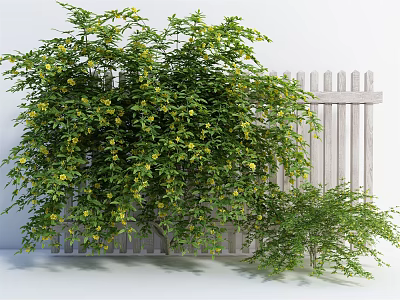 Lush Green Bushes With Yellow Flowers Growing Beside White Picket Fence 3d model