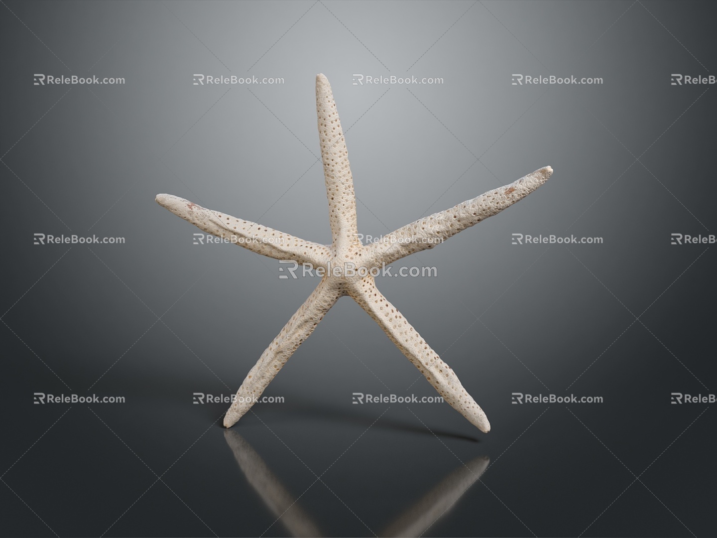 Modern Starfish Red Starfish Bread Starfish Blue Starfish 3d model