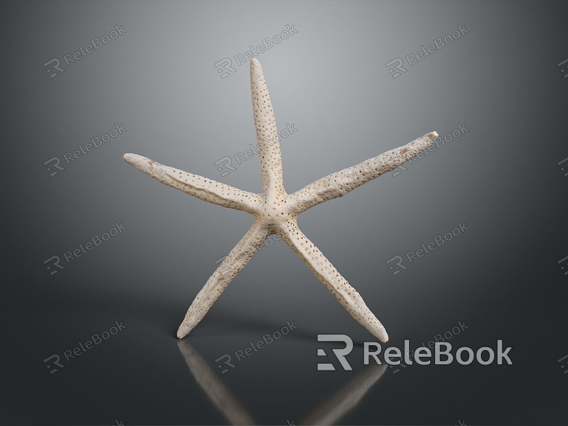 Modern Starfish Red Starfish Bread Starfish Blue Starfish model