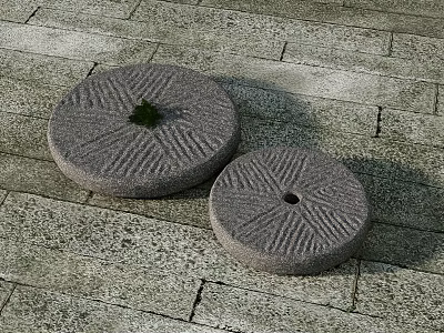 Two Traditional Stone Millstones on Textured Stone Pavement with Small Green Plant 3d model