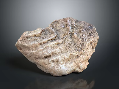 Natural Rough Textured Light Brown Stone On Dark Background With Reflection 3d model