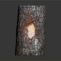 Wooden Stone Decorative Lamp With Natural Rustic Bark Texture And Warm Glowing Center