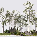Lush Arbor Trees in Natural Landscape With Rocks and Green Grass